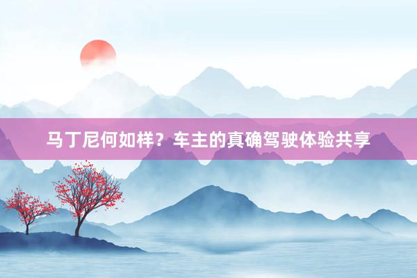 马丁尼何如样？车主的真确驾驶体验共享